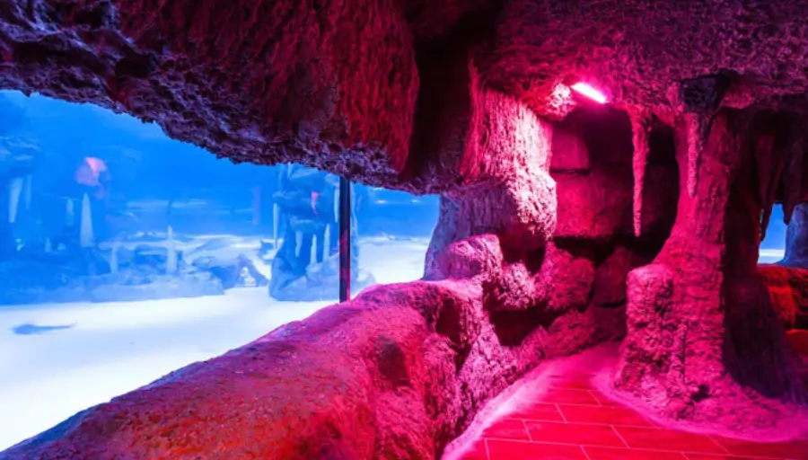 Antalya Aquarium & Face2Face Wax Museum photo 3